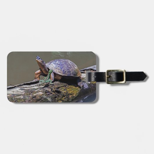 Lizard und Fluss Turtle in Tortuguero - Costa Rica Gepäckanhänger (Vorderseite horizontal)