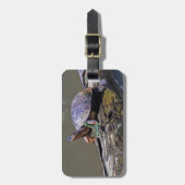 Lizard und Fluss Turtle in Tortuguero - Costa Rica Gepäckanhänger (Vorderseite vertikal)