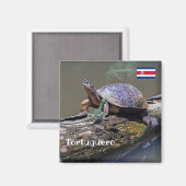 Lizard und Fluss Turtle in Tortuguero - Costa Rica Magnet (Vorderseite/Rückseite)