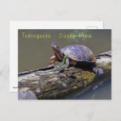 Lizard und Fluss Turtle in Tortuguero - Costa Rica Postkarte (Vorne/Hinten)