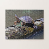 Lizard und Fluss Turtle in Tortuguero - Costa Rica Puzzle (Horizontal)