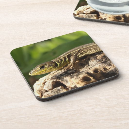 Lizard Untersetzer (Linke Seite)