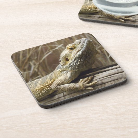 Lizard Untersetzer (Linke Seite)