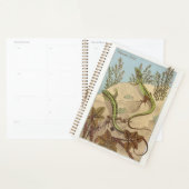 Lizard von Verneuil, Lézard, French Reptile Art, Planer (Anzeige)