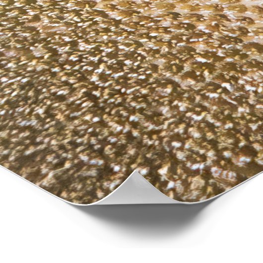 Lizardfish Closeup Poster (Ecke)