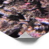 Lizardfish Pair II Poster (Ecke)