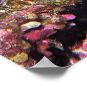 Lizardfish Party Poster (Ecke)