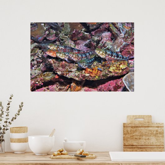 Lizardfish Party Poster (Küche)