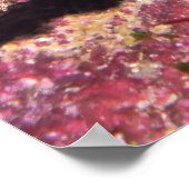 Lizardfish Partys II Poster (Ecke)