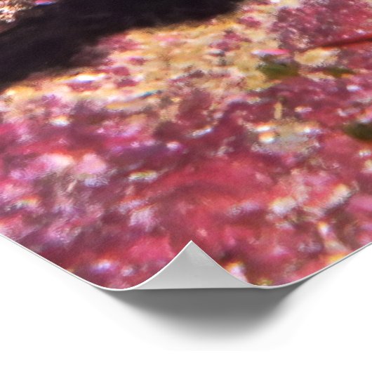 Lizardfish Partys II Poster (Ecke)