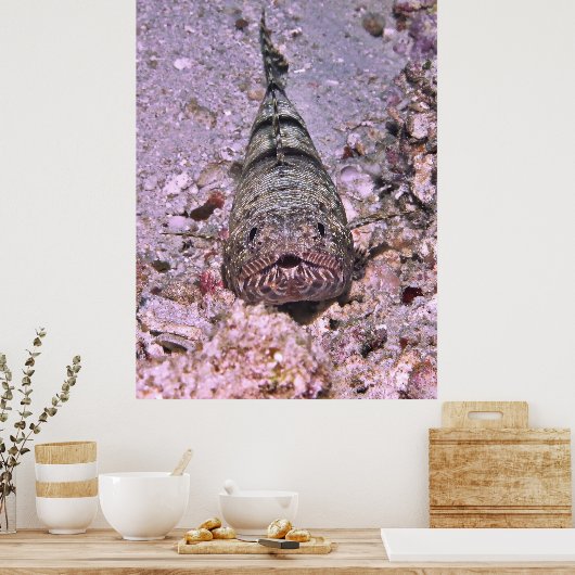 Lizardfish Portrait Poster (Küche)