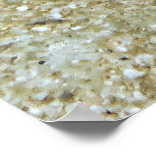 Lizardfish Stare-down Poster (Ecke)