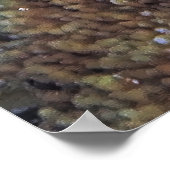 Lizardfish und Tunicate Poster (Ecke)