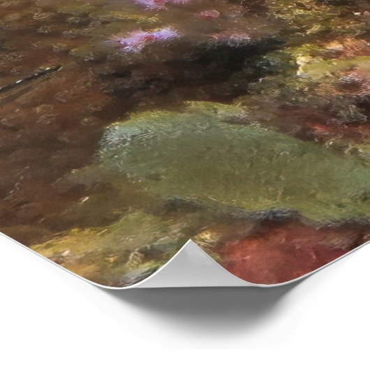 Lizardfish X Poster (Ecke)