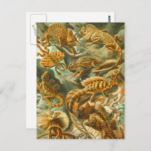 Lizards Postkarte (Vorne/Hinten)