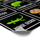 Lizards Reptilien Poster (Ecke)