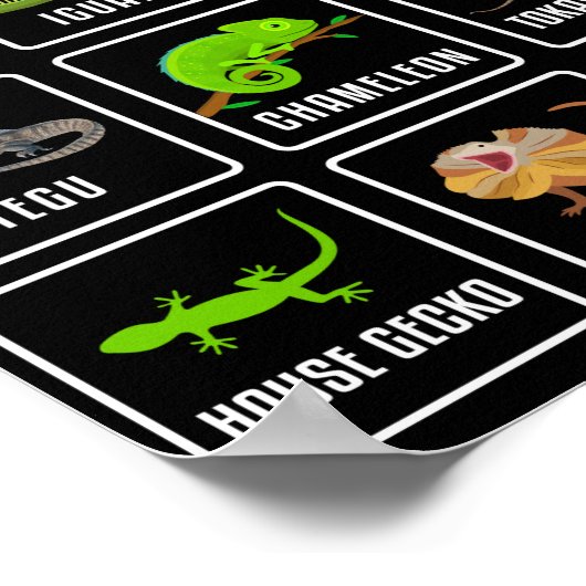 Lizards Reptilien Poster (Ecke)