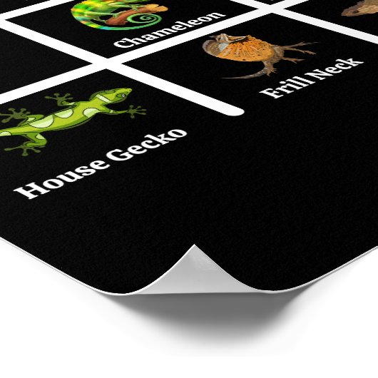 Lizards Reptilien Poster (Ecke)
