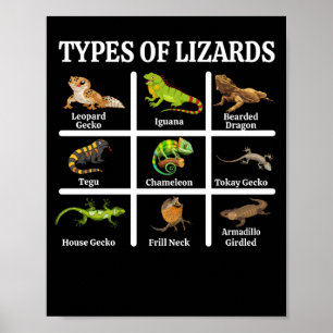 Lizards Reptilien Poster