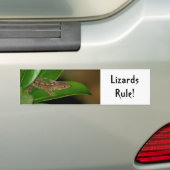 Lizards Rule Autoaufkleber (Auf Auto)