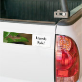 Lizards Rule Autoaufkleber (Auf Lkw)
