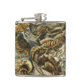 Lizards von Ernst Haeckel Vintag Lacertilia Animal Flachmann (Vorderseite)