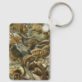 Lizards von Ernst Haeckel Vintag Lacertilia Animal Schlüsselanhänger (Rückseite)