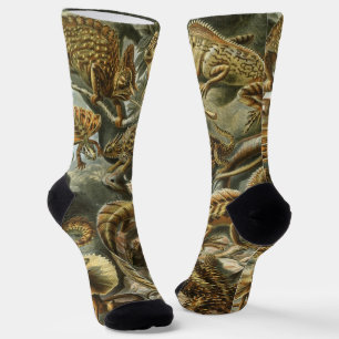Lizards von Ernst Haeckel Vintag Lacertilia Animal Socken
