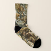 Lizards von Ernst Haeckel Vintag Lacertilia Animal Socken (Rechts - Außen)