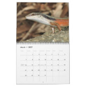 Lizards Wall Calendar von J.W. Vater. Kalender (Mär 2027)