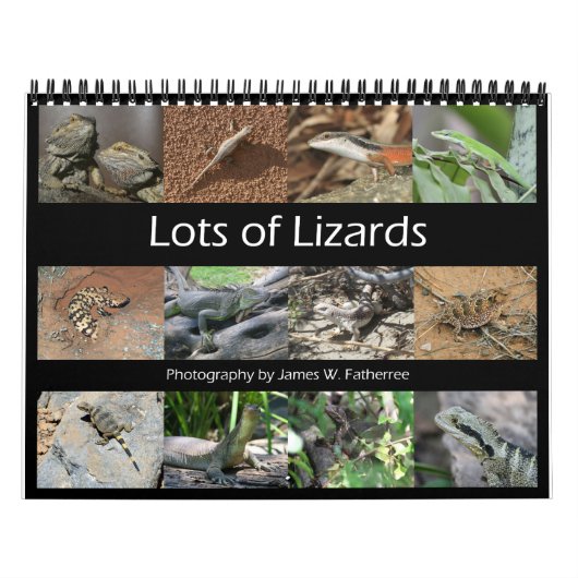 Lizards Wall Calendar von J.W. Vater. Kalender (Titelbild)