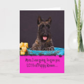 Lizenz Scottish-Terriers Licker Karte (Vorderseite)
