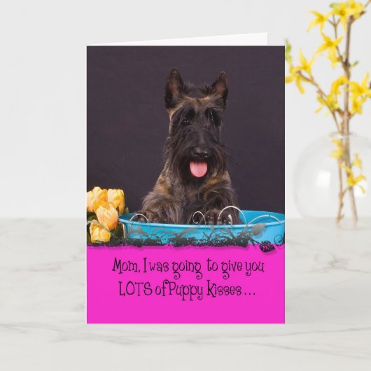 Lizenz Scottish-Terriers Licker Karte (Gelbe Blume)