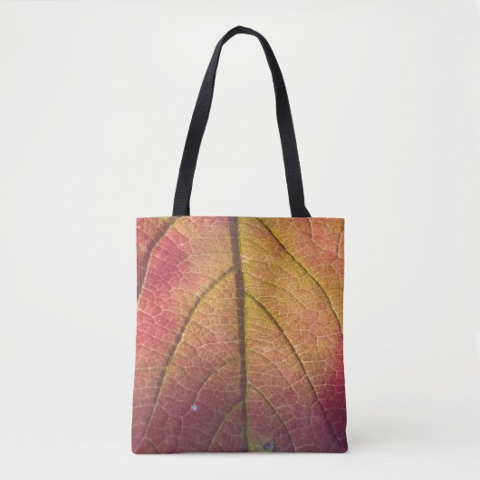 Lizenzrahmen Tasche (Vorderseite)