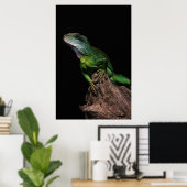 Lizzard Poster (Heimbüro)