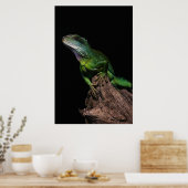 Lizzard Poster (Küche)