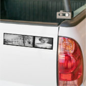 Lizzie Borden Autoaufkleber (Auf Lkw)