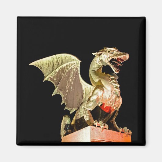 Ljubljana 01A Magnet (Vorne)