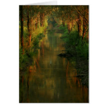 Ljubljana macht fest