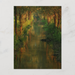 Ljubljana Moors Postkarte