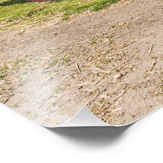 Lkw für viele Farben - Väter; Vater; Männer; Vinta Fotodruck (Ecke)