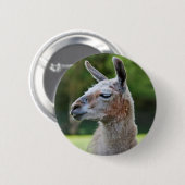 Llama-Abzeichen Button (Vorne & Hinten)