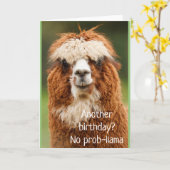 Llama Alpaca No Prob-llama Birthday Card Karte (Gelbe Blume)