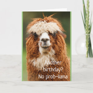 Llama Alpaca No Prob-llama Birthday Card Karte