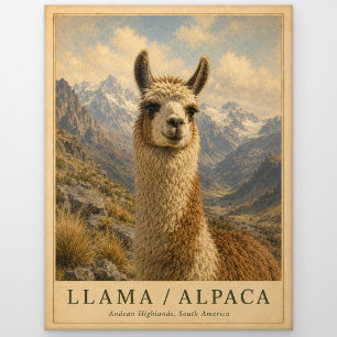 Llama Alpaka Anden VINTAGE Postkarte