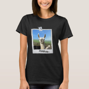 Llama Alpaka Foto Ernsthaft Sagen T-Shirt