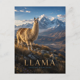 Llama Andenhochland TIERE Postkarte