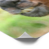 Llama Anger Zitat Inspiration Poster (Ecke)