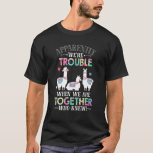 Llama Anscheinend machen wir Ärger, wenn wir zusam T-Shirt