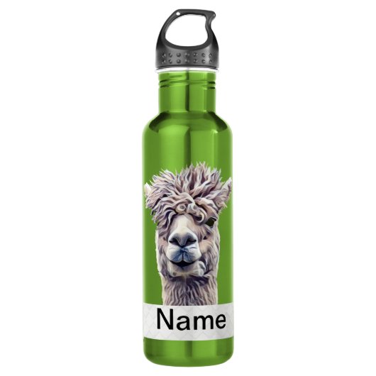 Llama Art Personalisierter Name Farbe Edelstahlflasche (Vorderseite)